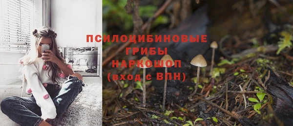 кристаллы Богородицк