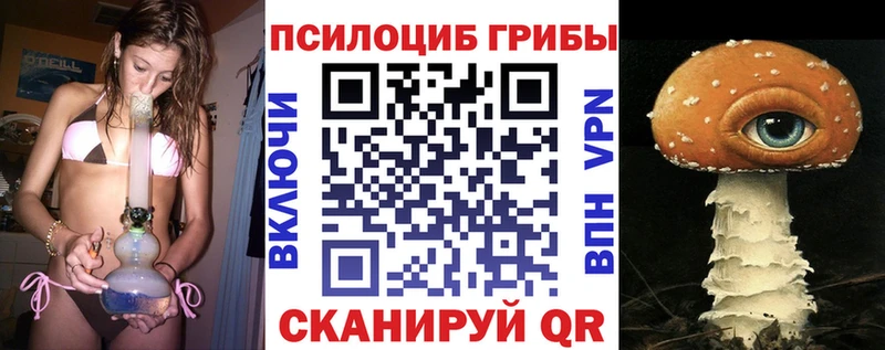 Псилоцибиновые грибы прущие грибы  нарко площадка клад  Котельниково 