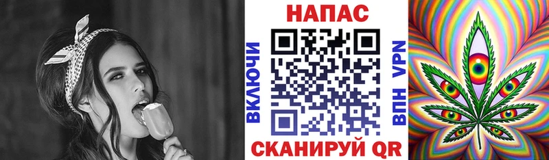 Конопля сатива Котельниково